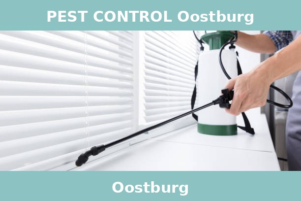 PEST CONTROL Oostburg